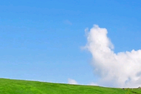 ܿƼ˾