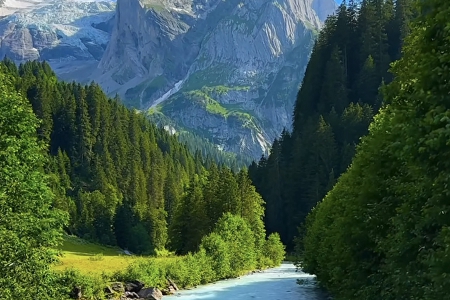 ˾ִȫ