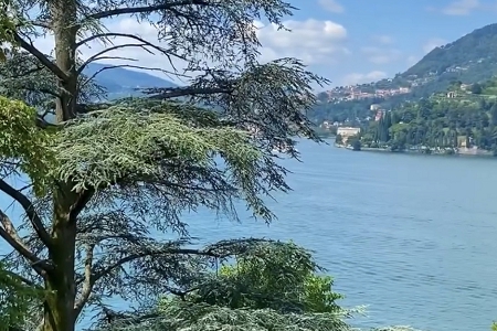 日化公司起名大全