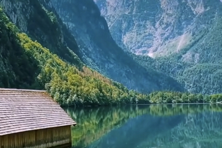 大气好听食品公司起名