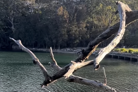 装饰公司叫什么名字好