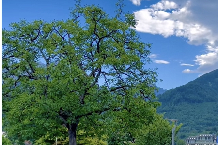 怎么起公司名字大全