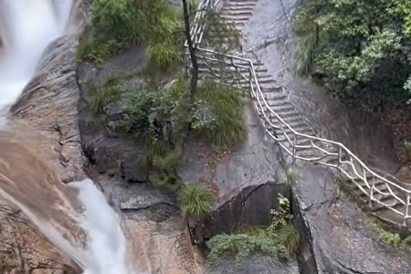 1988年11月4日人公司起名