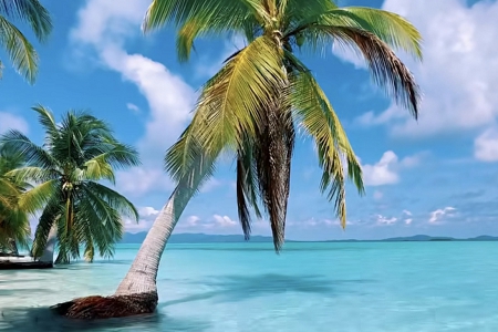 建材软装公司名字大全