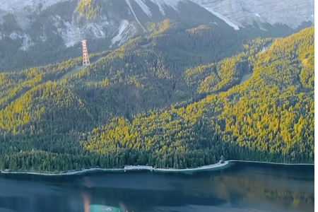 带盛的公司名字大全