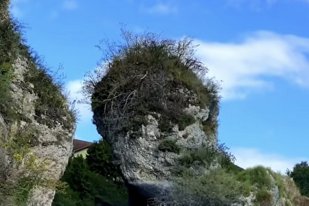 石榴木命公司起名字