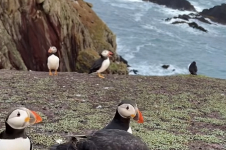 互联网科技公司起名大全