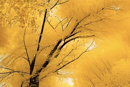 ��ó�׹�˾������ô��