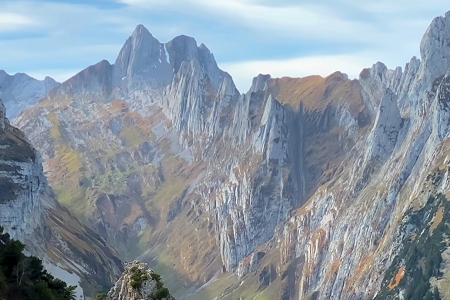 ��������˾���ִ�ȫ