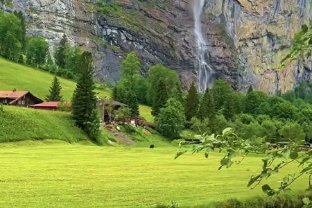 �����ӡ���޹�˾ȡ��