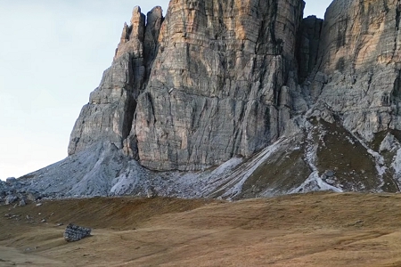 ��ѯ��˾������