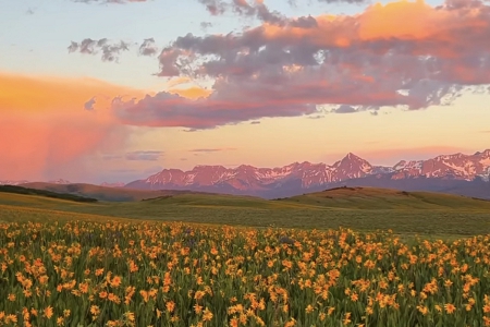 ��ҵ��˾��ʲô���ֺ�