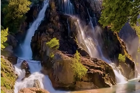 �Ǹ���վ��˾ȡ��