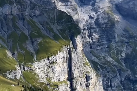 教育咨询公司取什么名字好