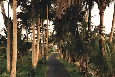 传媒公司起名大全