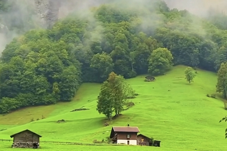 ���乫˾���ִ�ȫ