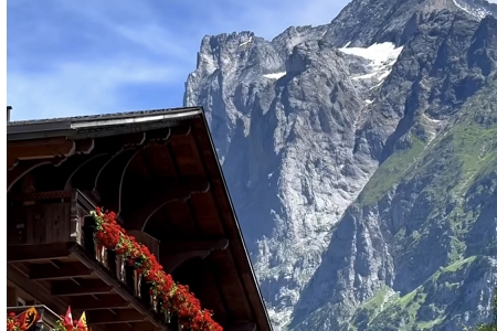 公司取名怎样容易通过