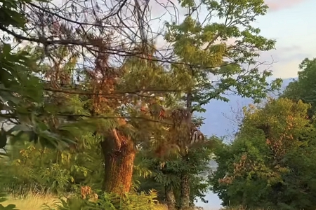 机电设备公司名字大全