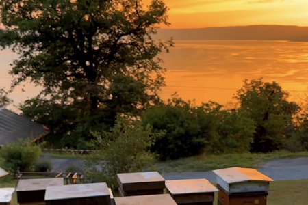 ˮ�����˿���˾ȡ��