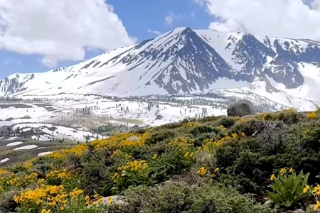 注册公司选名字