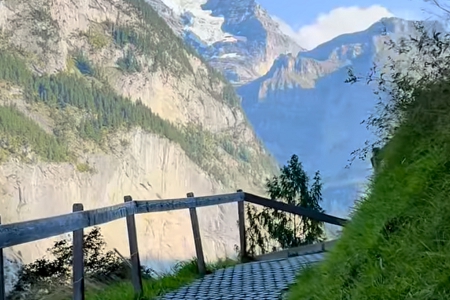 �����㹫˾����