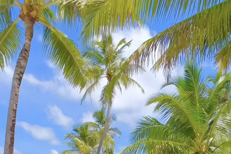 公司取名字的网站