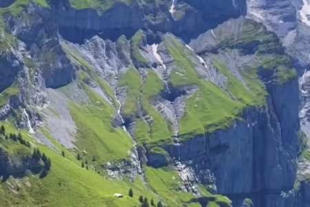 ���߹�˾�������ȡ��