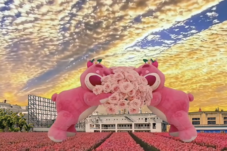 农业公司起名经典词汇