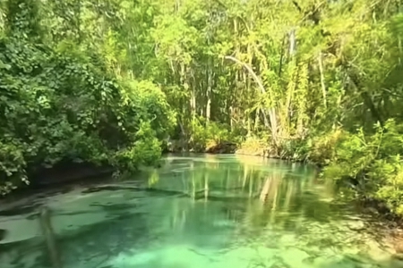 ���ƵĹ�˾����