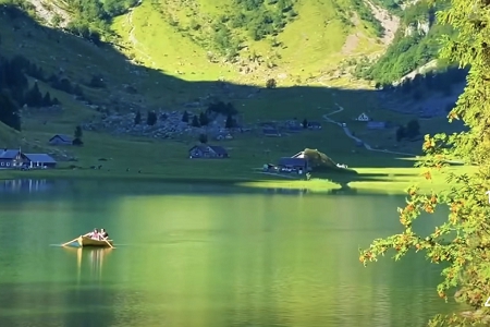 ��˾���ִ�ȫ��