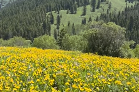 ó�׹�˾���ȡ��