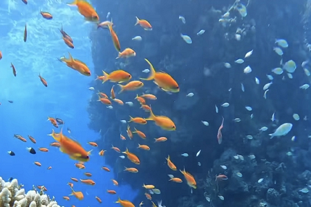 如何为公司取名字