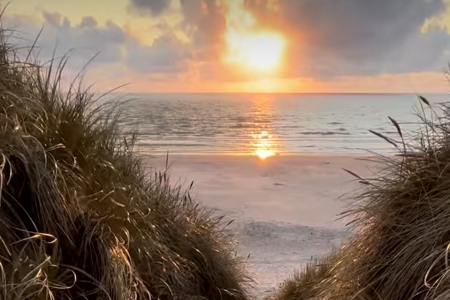 ��ҵ��˾ȡ���ִ�ȫ