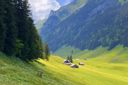 ��˾ȡ�������ֻ���