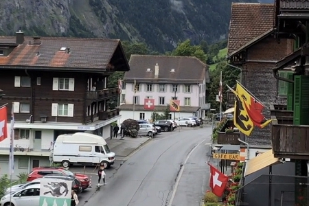 ��ѯ��˾����