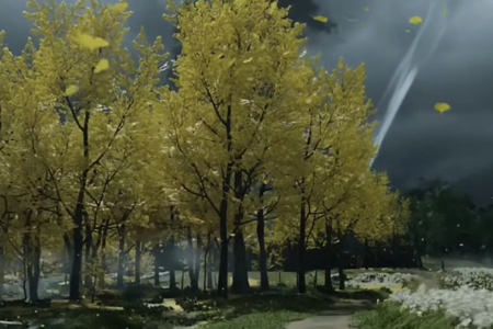 ������˾ȡ��