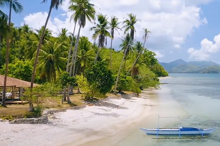 �����﹫˾���ִ�ȫ2026��