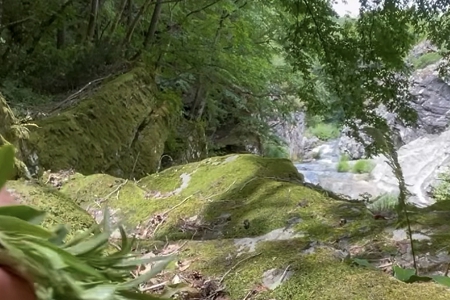 �Ƚ����Ĺ�˾����