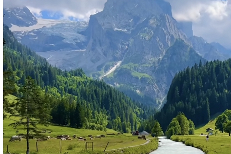 ������ȡ����˾����