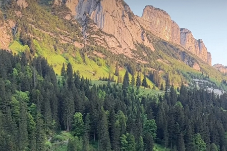 �������鹫˾���ִ�ȫ