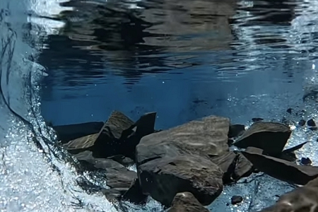 ��˾��������81����