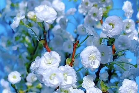 ������˾�õ����ִ�ȫ