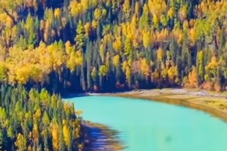 ������˾ȡʲô���ֺ�