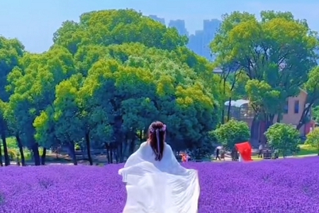 ϴ�¹�˾���ִ�ȫ