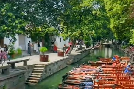 公司取名软件在线