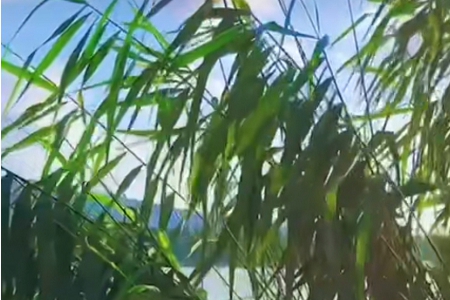 ����˾ѡ���ִ�ȫ��