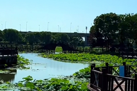 ������˾�����Ƽ�