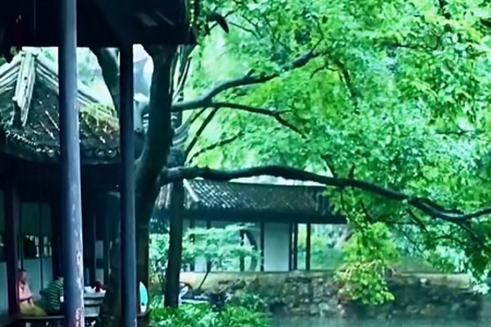 ���ֹ�˾������ôȡ