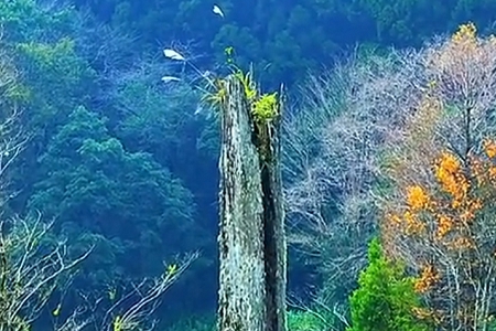 �������˾���ִ�ȫ