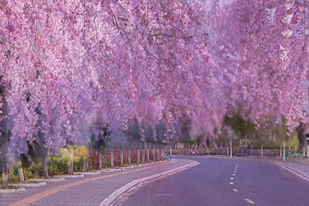 ��˾�����ִ�ȫ